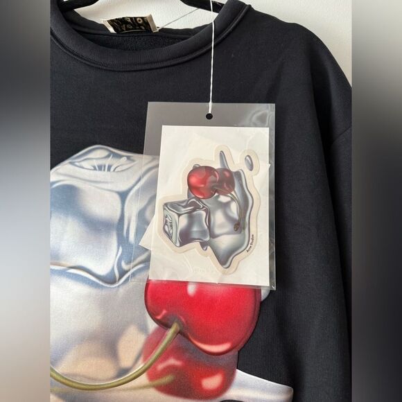 ACNE STUDIOS Sweatshirt Ice Cube Cherry Flame Size M Rare From Diner Collection - Picture 10 of 11